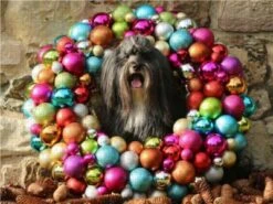 CALVENDO® Puzzle CALVENDO Puzzle Fröhliche Weihnachten - 1000 Teile Foto-Puzzle Für Glückliche Stunden -Spielzeug - Spiele Geschäft 17317584 03