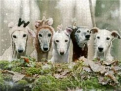 CALVENDO® Puzzle CALVENDO Puzzle Fröhliche Weihnachten Wünscht Die Ganze Bande - 1000 Teile Foto-Puzzle Für Glückliche Stunden -Spielzeug - Spiele Geschäft 17348501 03