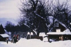 LEONINE DVD Weihnachten Mit Astrid Lindgren Vol. 2 -Spielzeug - Spiele Geschäft 1915742 05