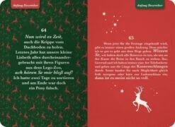 Nach Dem Fest Ist Vor Dem Fest. 99 Tipps Für Ein Entspanntes Weihnachten -Spielzeug - Spiele Geschäft 21923486 05