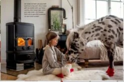 Lotti & Dotti Warten Auf Weihnachten (Bd. 4) -Spielzeug - Spiele Geschäft 25575063 03